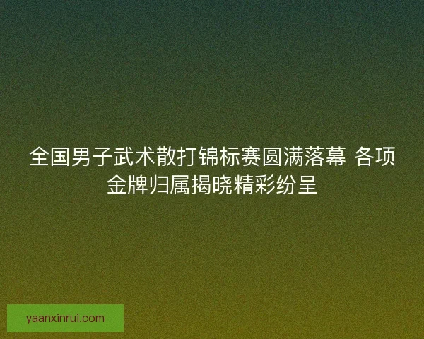 全国男子武术散打锦标赛圆满落幕 各项金牌归属揭晓精彩纷呈